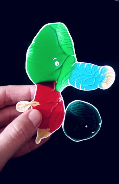 Carolina Turrio | Artwork "Mini-mig-mag-mug" Pollination