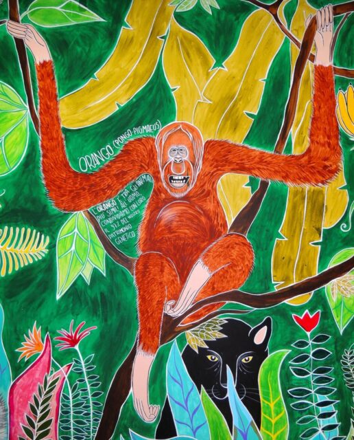 Carolina Turrio | Pittura murale "Foresta/Safari": Orango